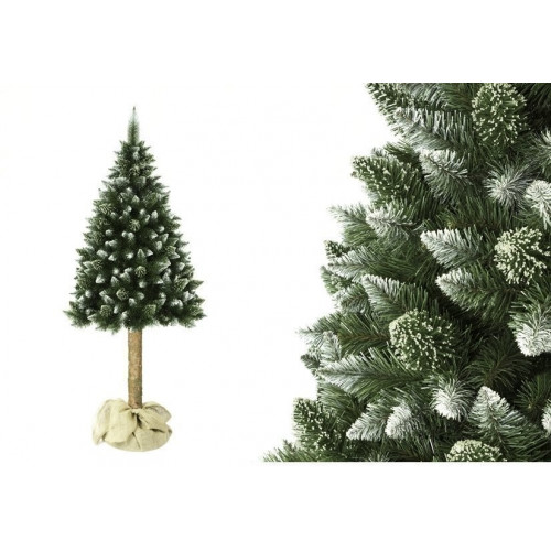 Vánoční stromek borovice na kmeni 180 cm + stojan