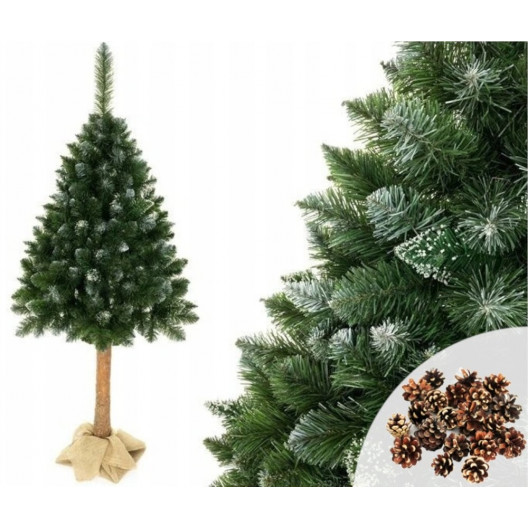 Vánoční stromek borovice na kmeni 180 cm + stojan+šišky