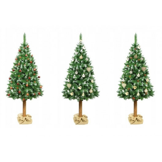 Vánoční stromek borovice na kmeni 180 cm + stojan